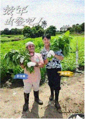 九七极品在线纪实综艺制作成本资讯配图